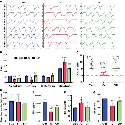 PQQ Dietary Supplementation Prevents Alkylating Agent-Induced Ovarian Dysfunction in Mice